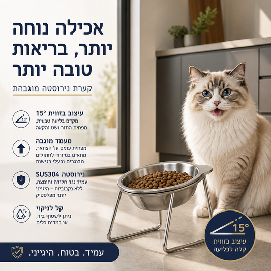 🐶 קערת האכלה מוגבהת – 15°, נירוסטה 304, מפחיתה הקאות וכאבי צוואר! 🦴✨