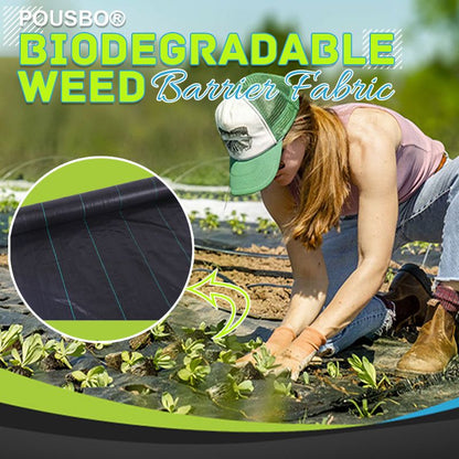 🌿 50% הנחה עכשיו! ⛏️ יריעת בד למניעת עשבים – חוסמת את אור השמש, נושמת ועמידה – מושלמת לערוגות גינה ולשבילים – מקלה על עבודת העישוב 🌱✨