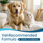 🐶🐱 מנקה אוזניים | מקל על הגירוד אצל כלבים וחתולים 👂