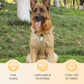 🐶 50% הנחה עכשיו! 🛡️ רתמה לכלבים ללא משיכה עם רצועה וקולר LED – בטוחה ונוחה ✨