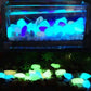No Need To Charge Luminous Stone